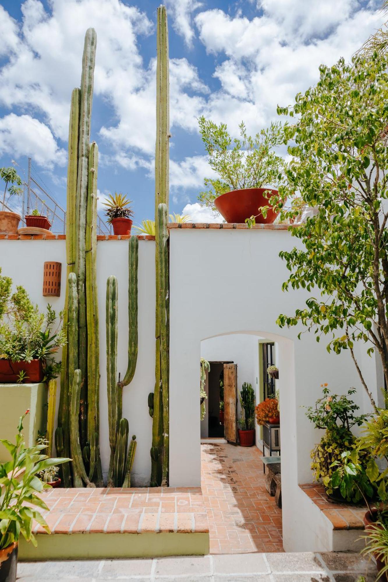 Hotel Casa Quetzal San Miguel de Allende Zewnętrze zdjęcie